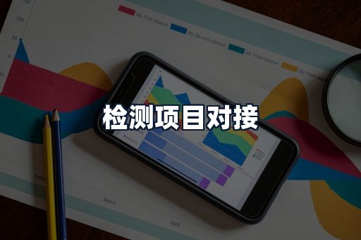 检测项目对接